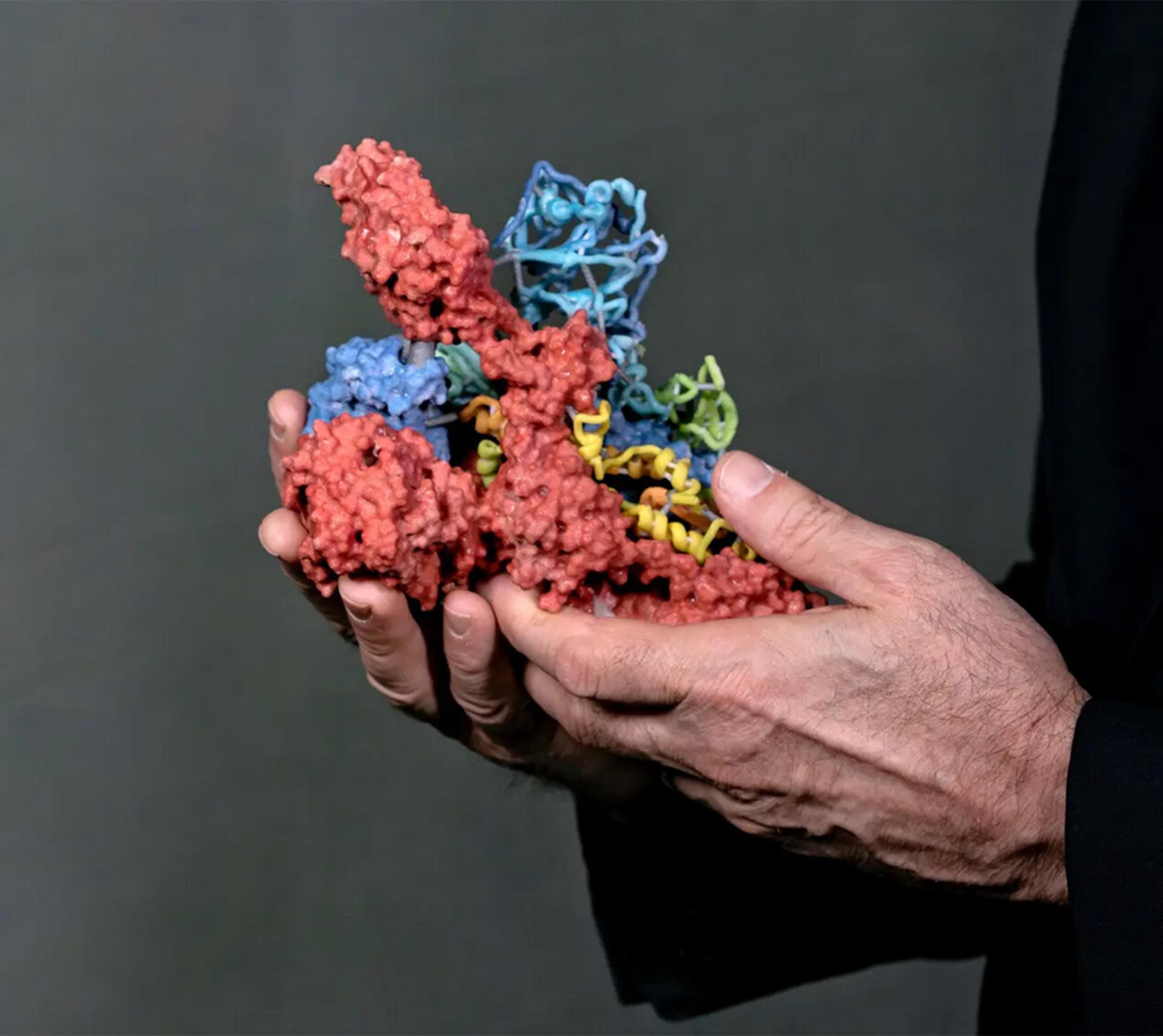 Un modelo de escayola en 3D de una proteína de espiga del coronavirus en el despacho del Dr. Barney Graham, inmunólogo y virólogo recientemente jubilado del Centro de Investigación de Vacunas de los Institutos Nacionales de Salud