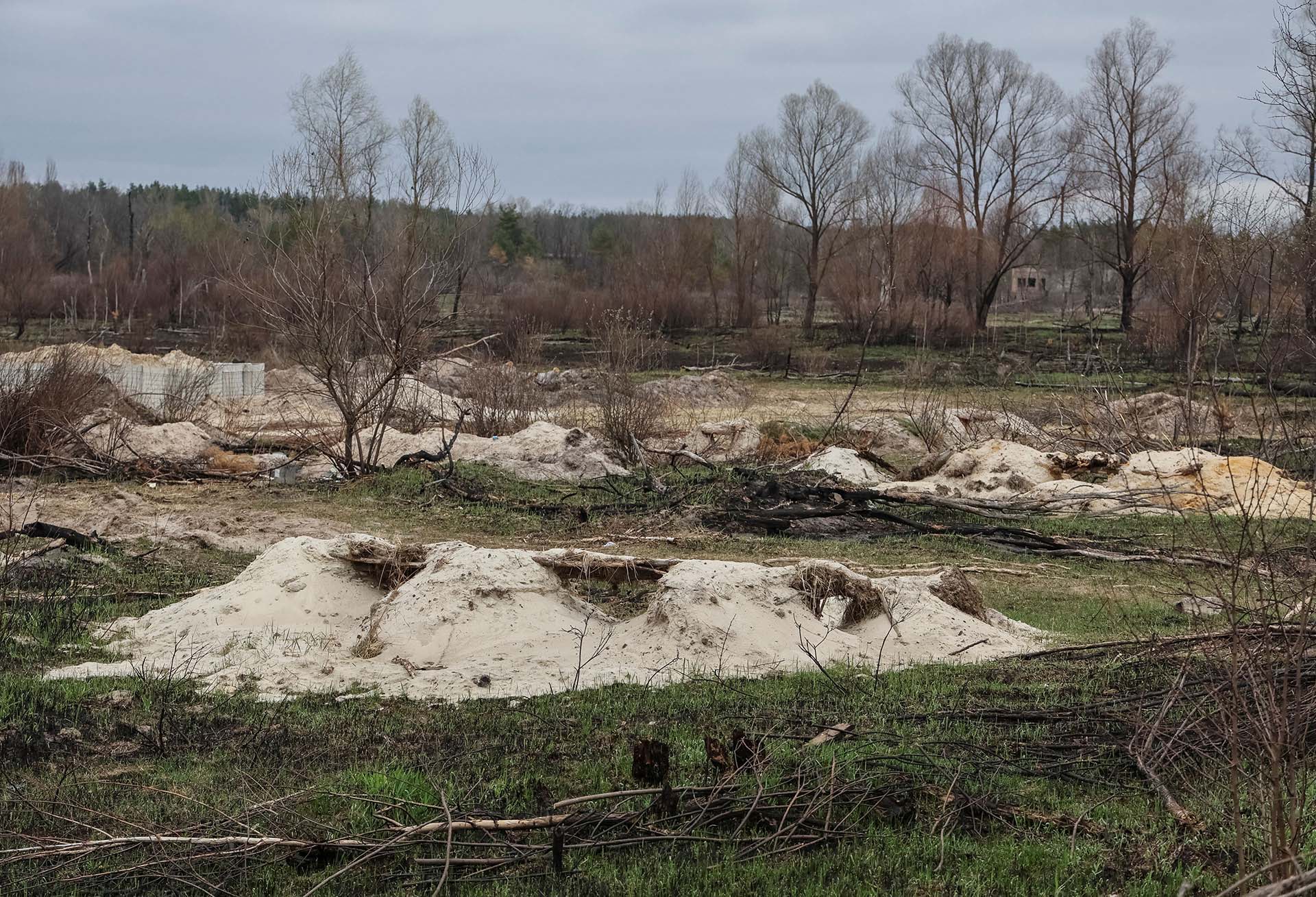 Trincheras excavadas por las fuerzas rusas en un bosque irradiado cerca de la planta nuclear de Chernobyl (REUTERS/Gleb Garanich)