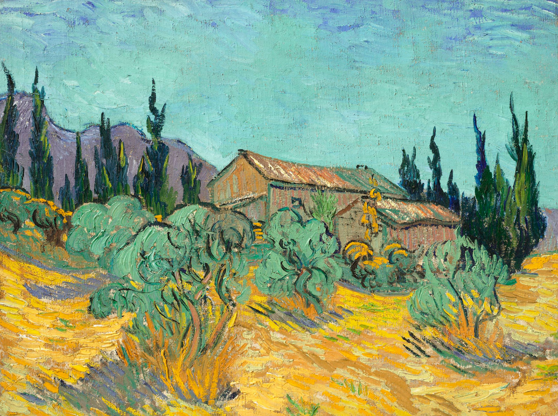 "Cabanes de bois parmi les oliviers et cyprès" (1889) del pintor holandés fue vendido por más de 70 millones de dólares en la subasta de Christie's