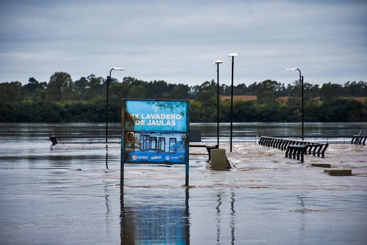 El Niño: el río Uruguay llegó a los 11,50 metros en Concordia y anticipan una nueva crecida para la próxima semana