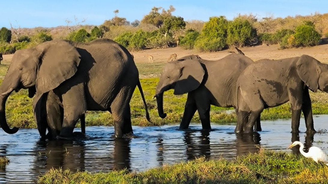 El destino de &Aacute;frica oriental que atrae cada vez m&aacute;s turistas por sus safaris y playas de agua dulce