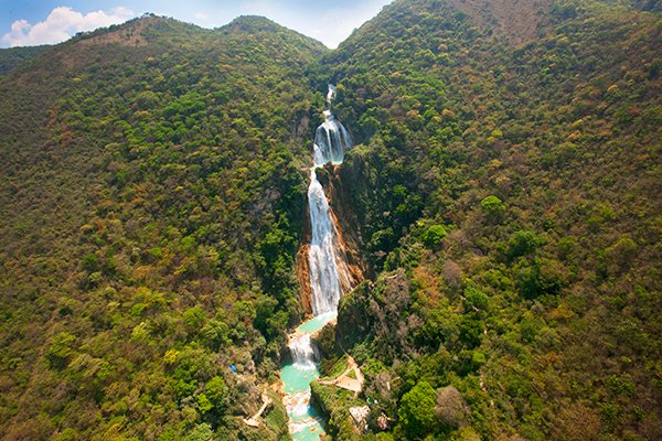 Cómo llegar a tres impresionantes cascadas desde Oaxaca, Chiapas y Tabasco  - Infobae