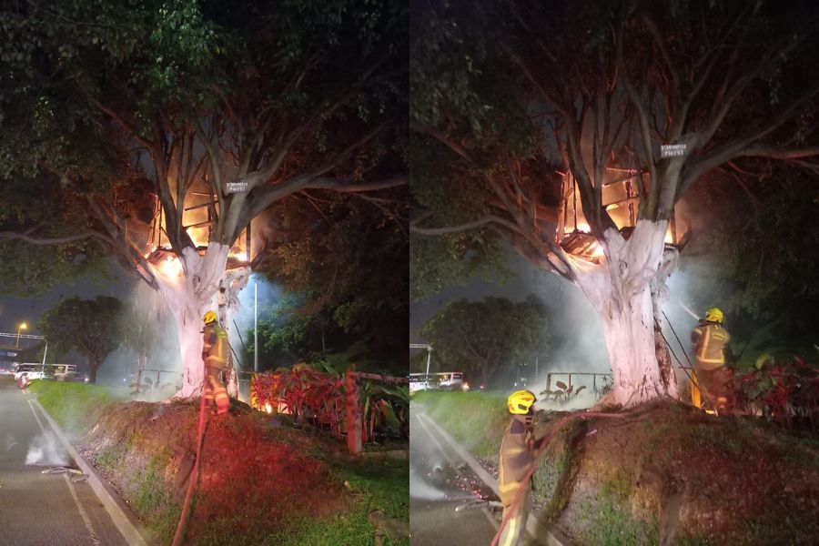 Lo Que Se Sabe Del Incendio De La Casa En El árbol En Medellín Infobae 6820