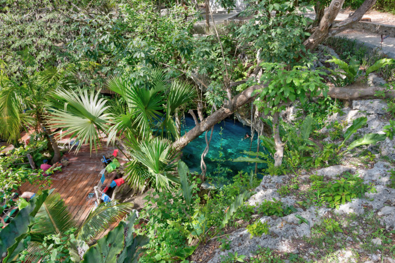 Gran Cenote (Foto: Cenote.org)