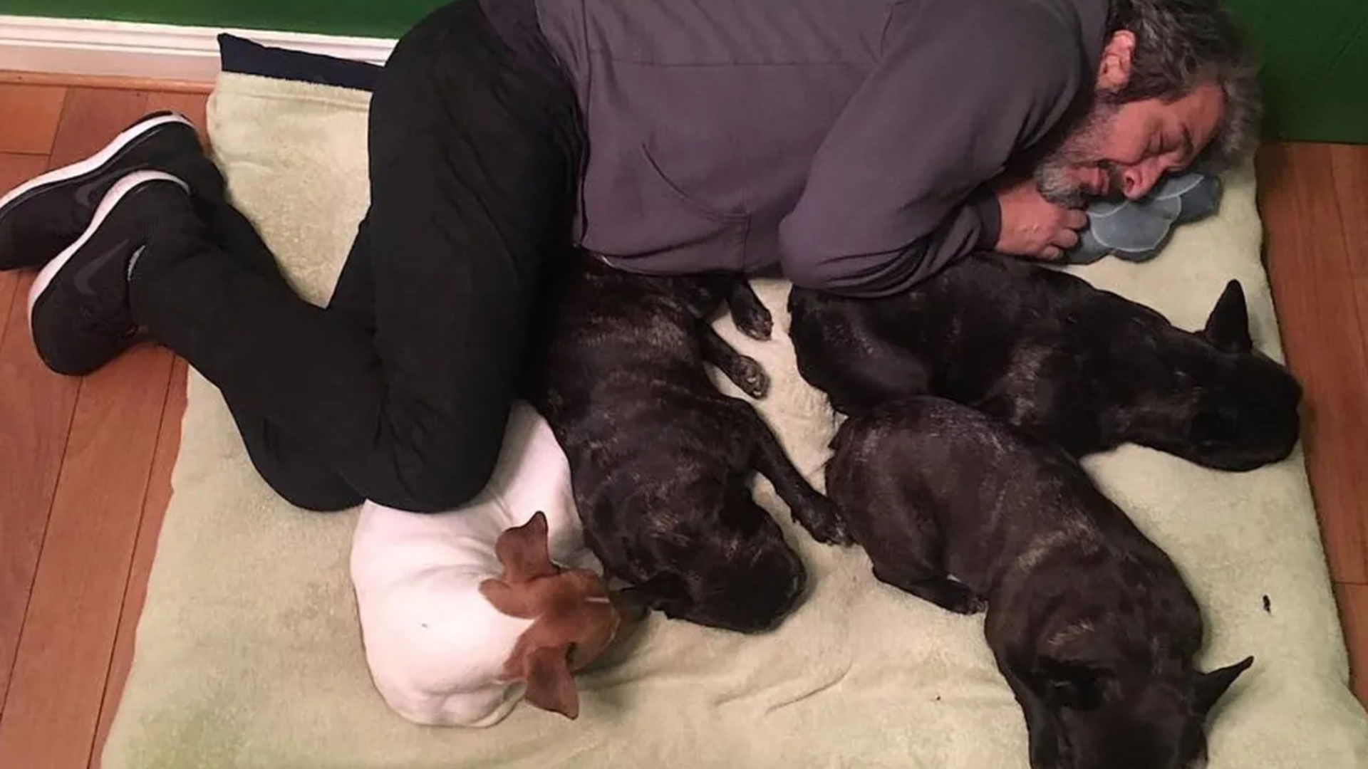 La desgarradora despedida de Ricardo Darín a su perro Ronko y el emotivo video de su hija Clara: “Te deseo paz”