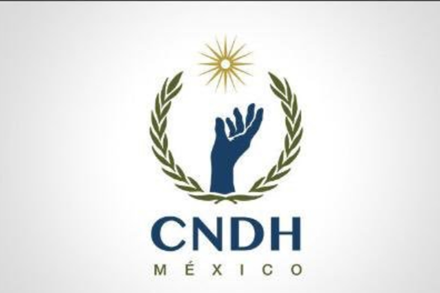 La CNDH ha sido cuestionada en distintas ocasiones (Foto: Especial)