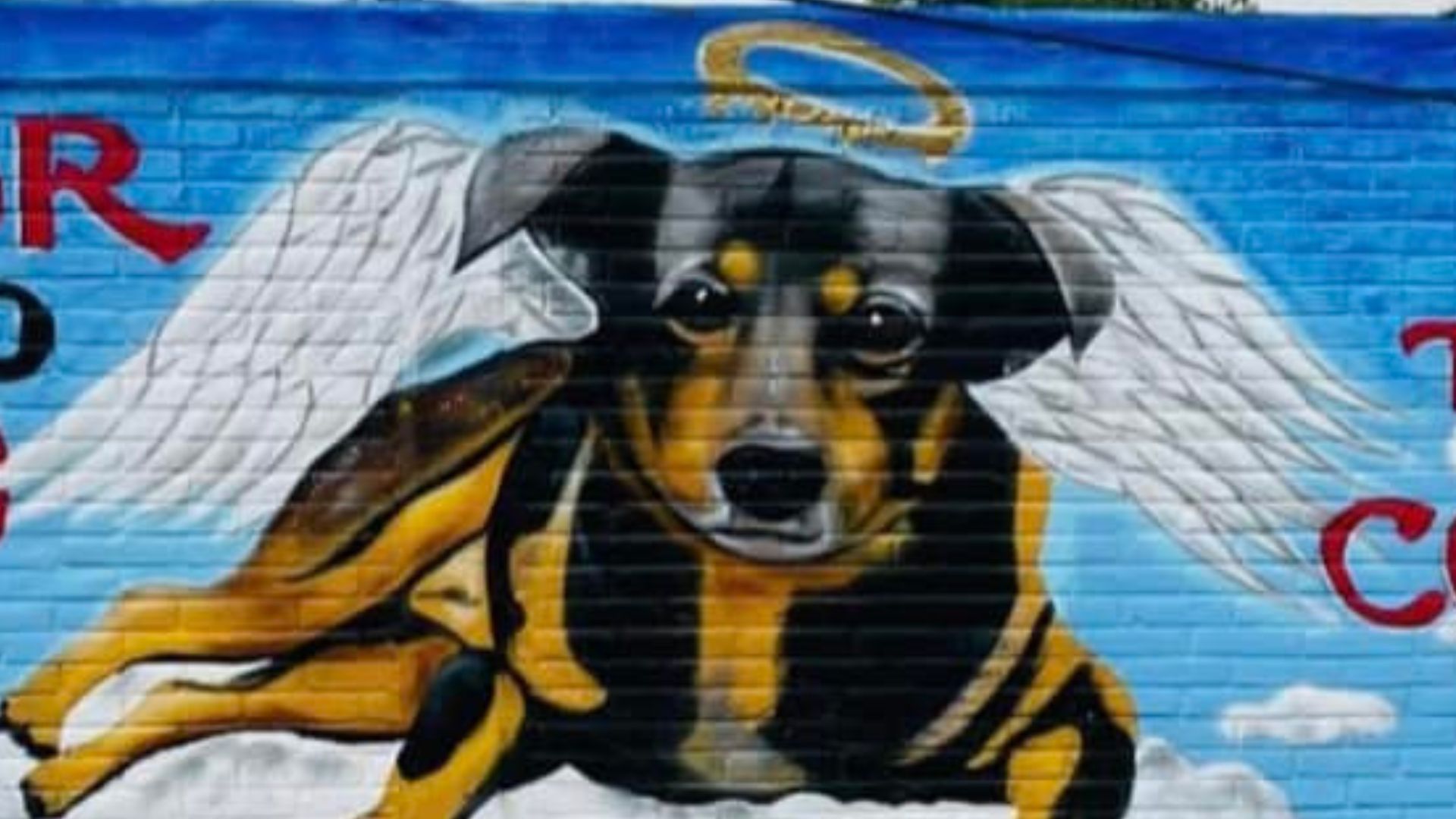Crean mural en honor a Scooby, el perro que fue arrojado a un cazo de aceite hirviendo