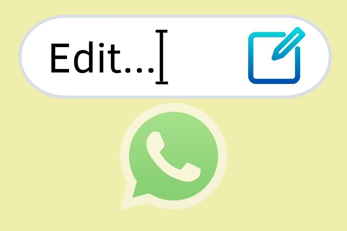 Se viene rilevata una voce sospetta, WhatsApp invierà una notifica.  .  (Foto: Malavida)