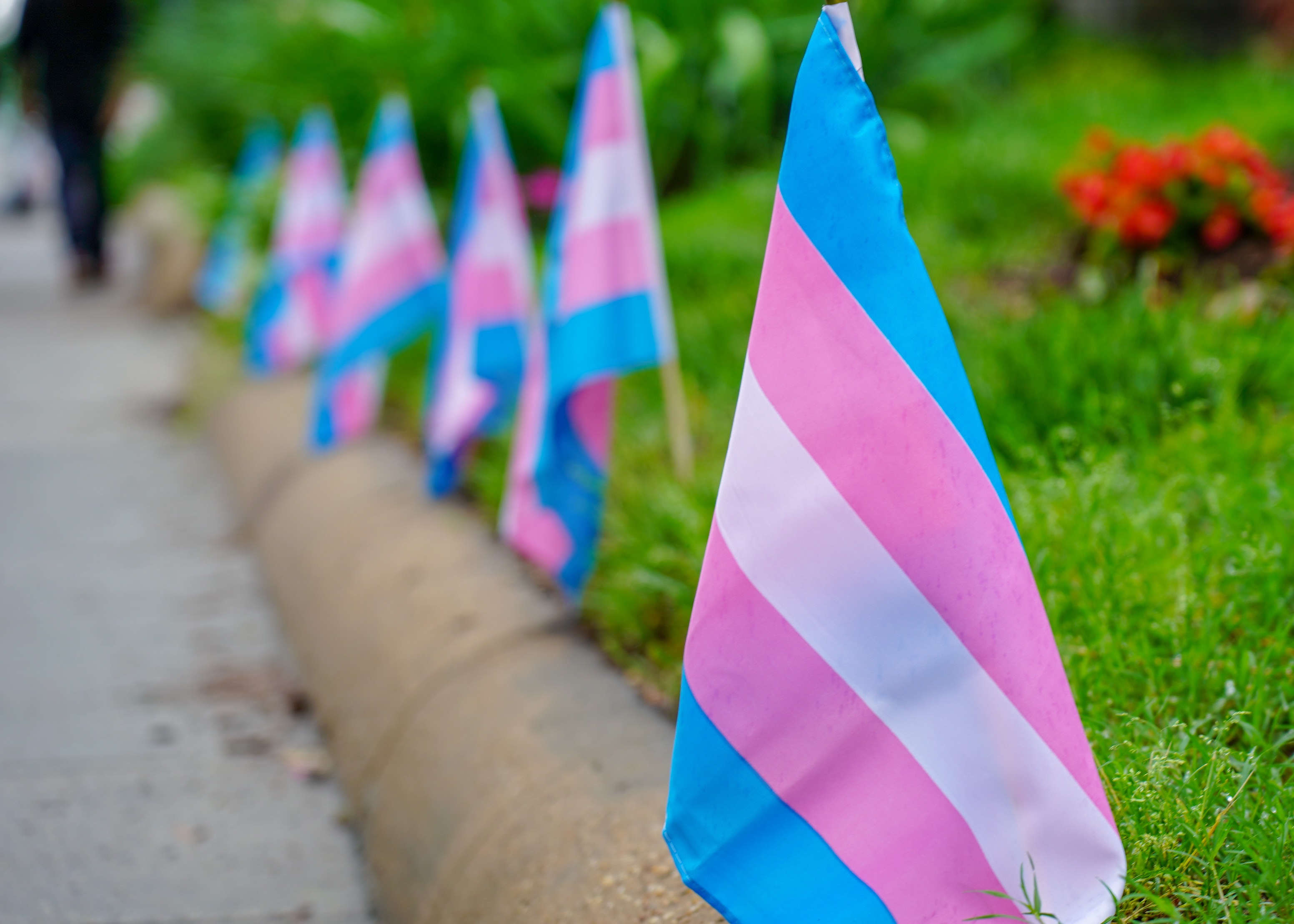 Alrededor del 5 por ciento de los adultos jóvenes en los Estados Unidos se identifican como transgénero o no binarios, según las últimas cifras.
