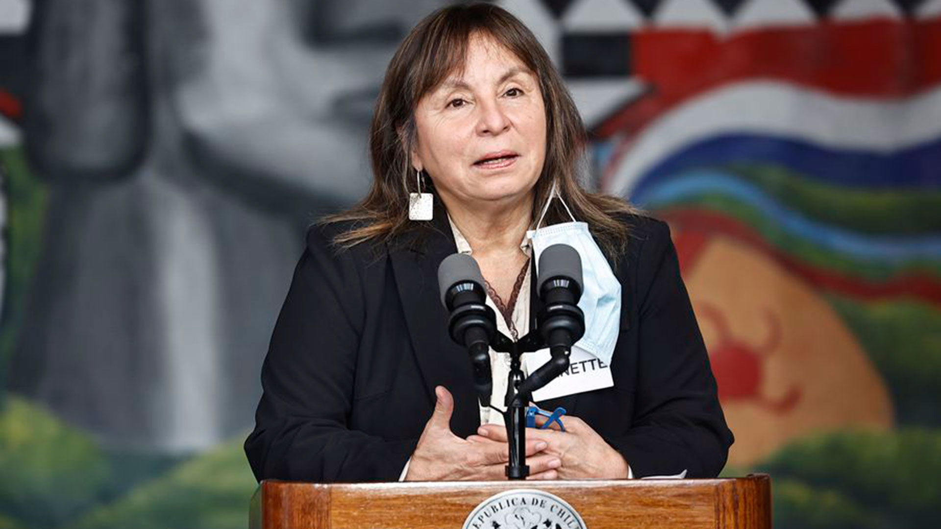 Renunció la ministra de Desarrollo Social de Chile: revelaron una comunicación con el líder mapuche Héctor Llaitul