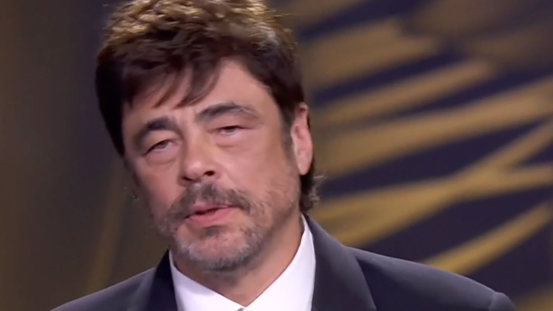 Benicio del Toro, Platino de Honor