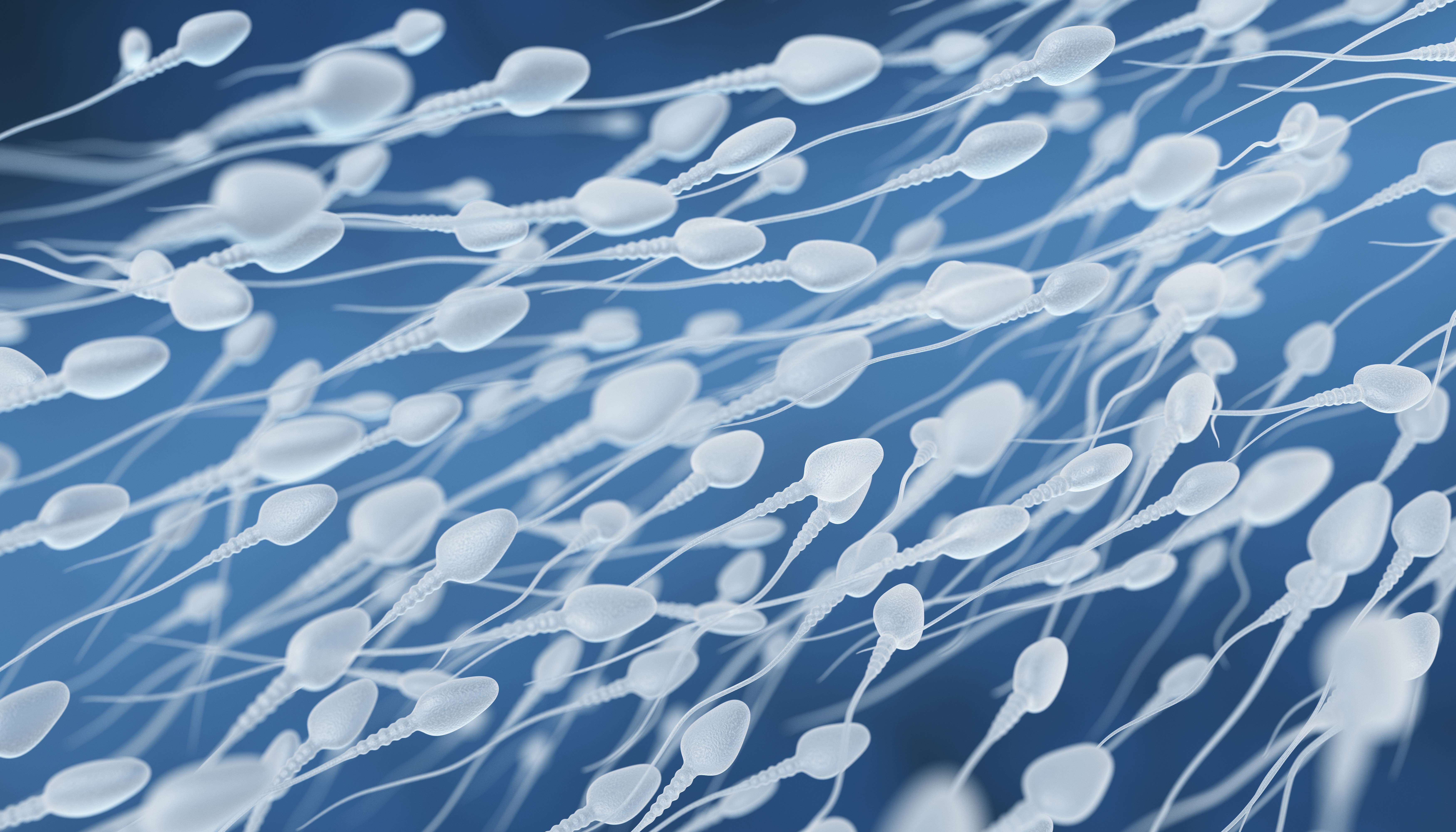 Los estudios de anticonceptivos masculinos hormonales aún son experimentales 