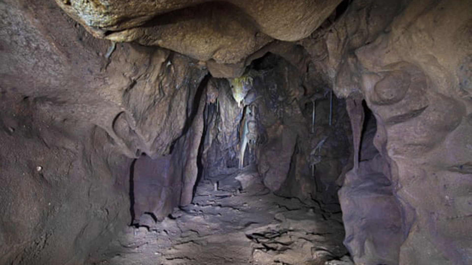 Abrieron Una Cámara Que Estuvo Sellada Durante 40 Mil Años En Una Cueva 