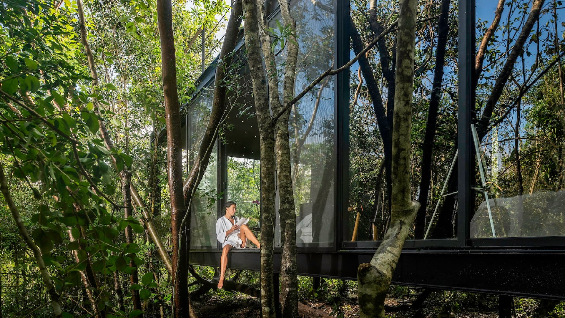 La casa de cristal en medio de la selva maya donde puedes alojarte con  Airbnb - Infobae