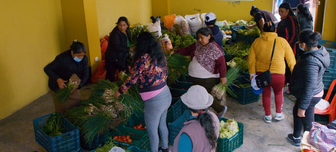 Inseguridad Alimentaria La Nueva Crisis Global Será Aguda Para Las Familias Peruanas Infobae 4829