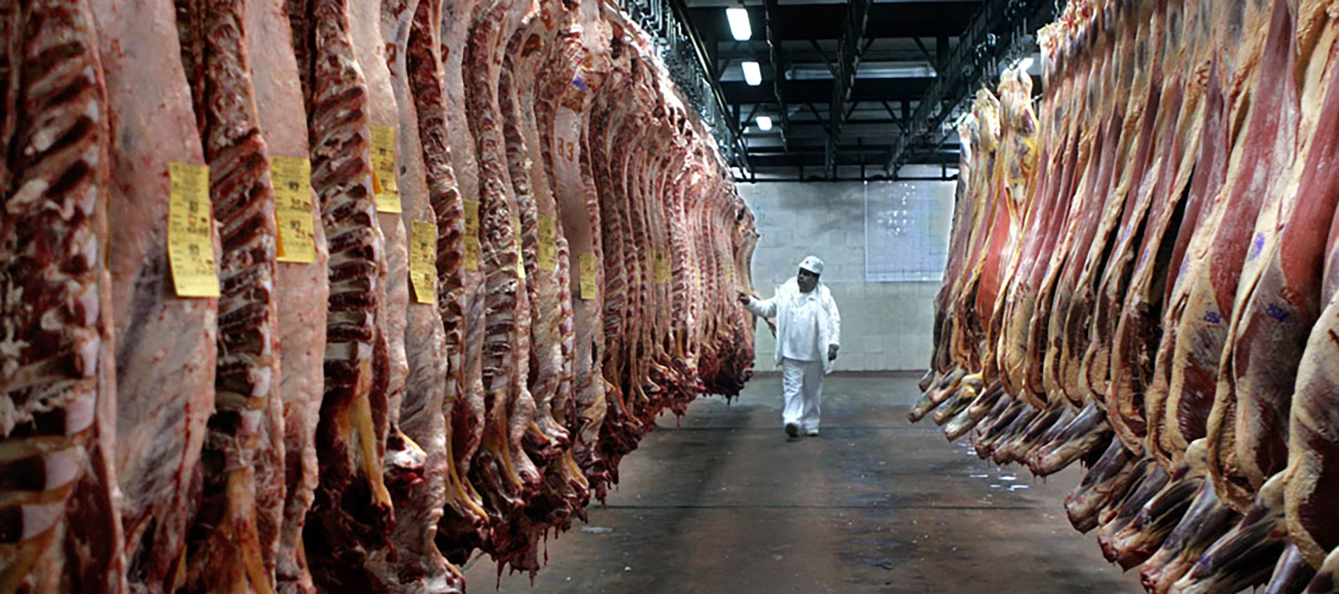 La industria frigorífica es uno de los sectores más afectados por el cierre de las exportaciones de carne vacuna. (AFP)