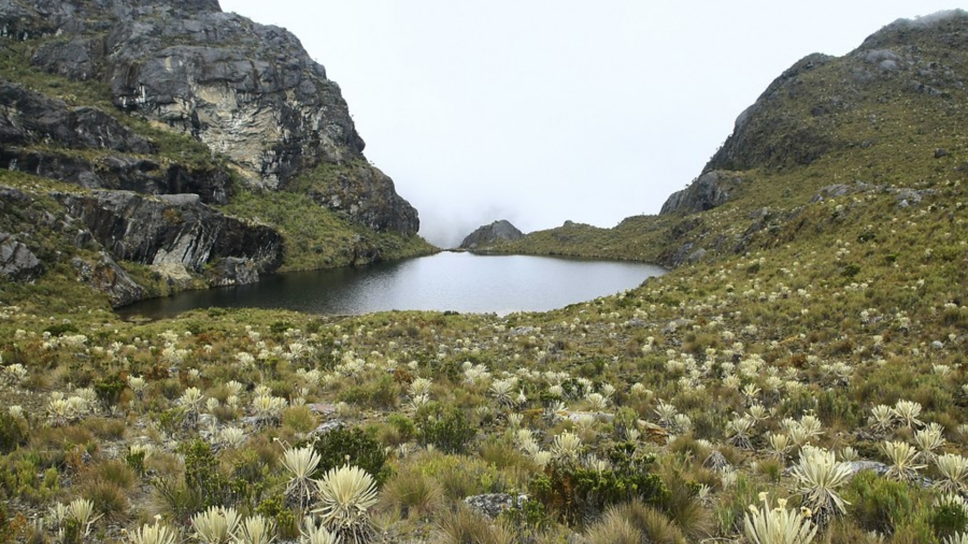 法院承认监护权 必须决定是否暂停对santurban 沼地的划界 Infobae