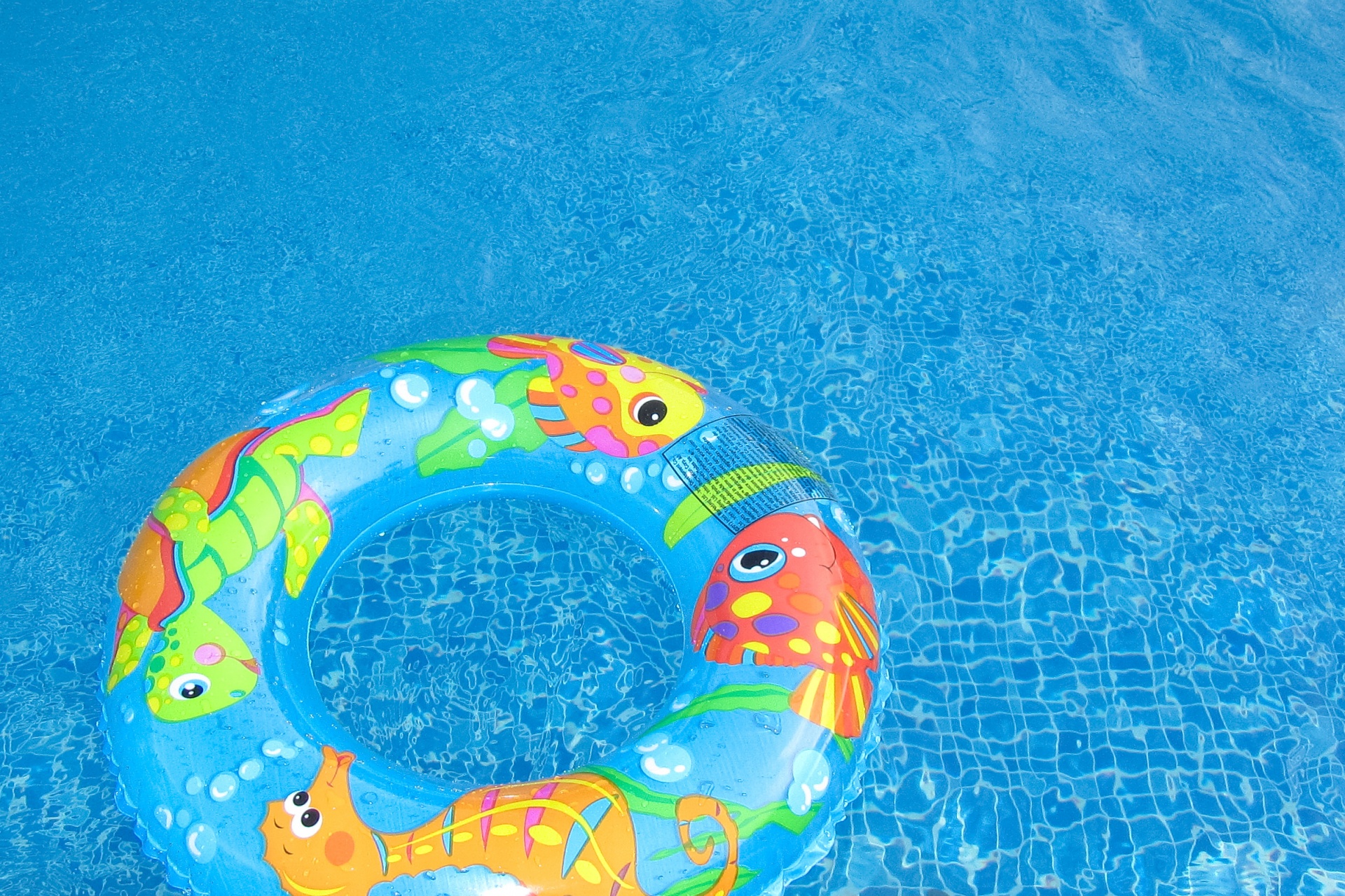 Un niño de cinco años falleció en la piscina de si campamento de verano (Foto: Needpix)
