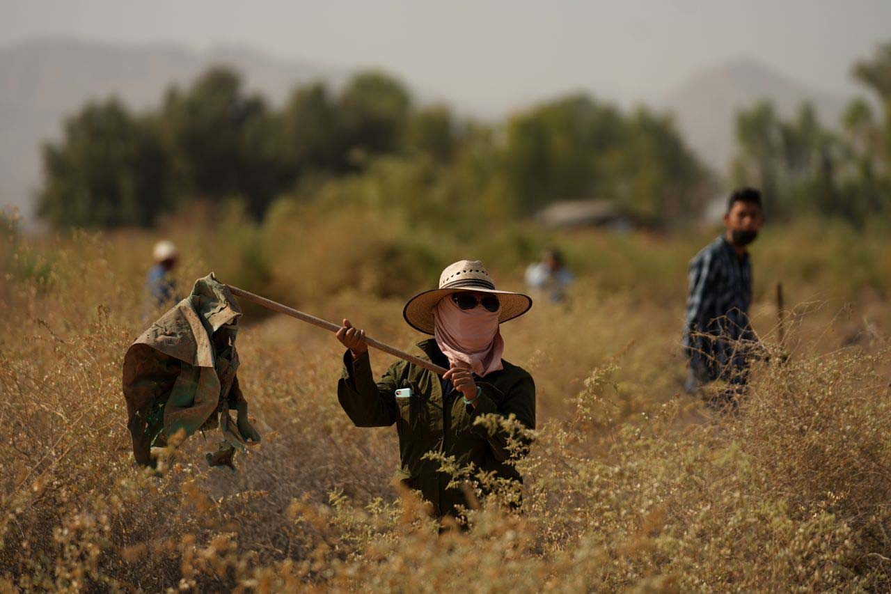 Madres de personas desaparecidas buscan en terreno desertico a sus familiares extraviados. Mexicali, Baja California, México. 18 de octubre de 2020.