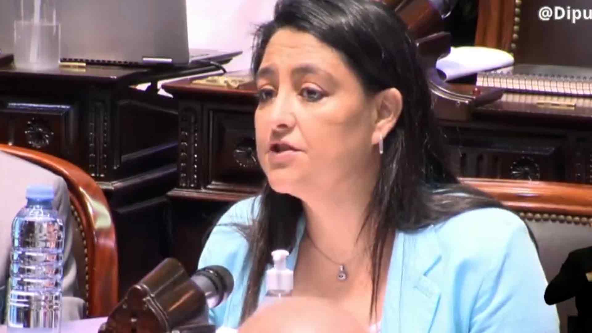 Grieta De Género En El Congreso Silencio De Legisladoras Feministas K Frente A Un Proyecto De 6892