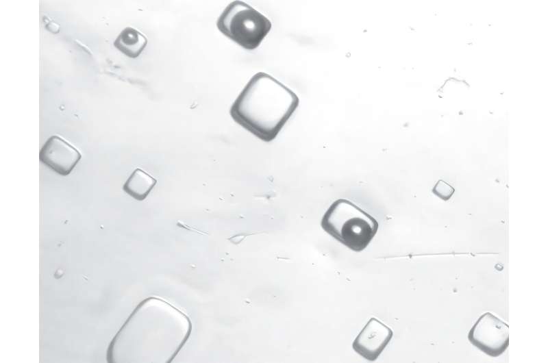 En la previa de las Fiestas, desbarataron más de 500 puestos de venta ilegal de pirotecnia en Córdoba