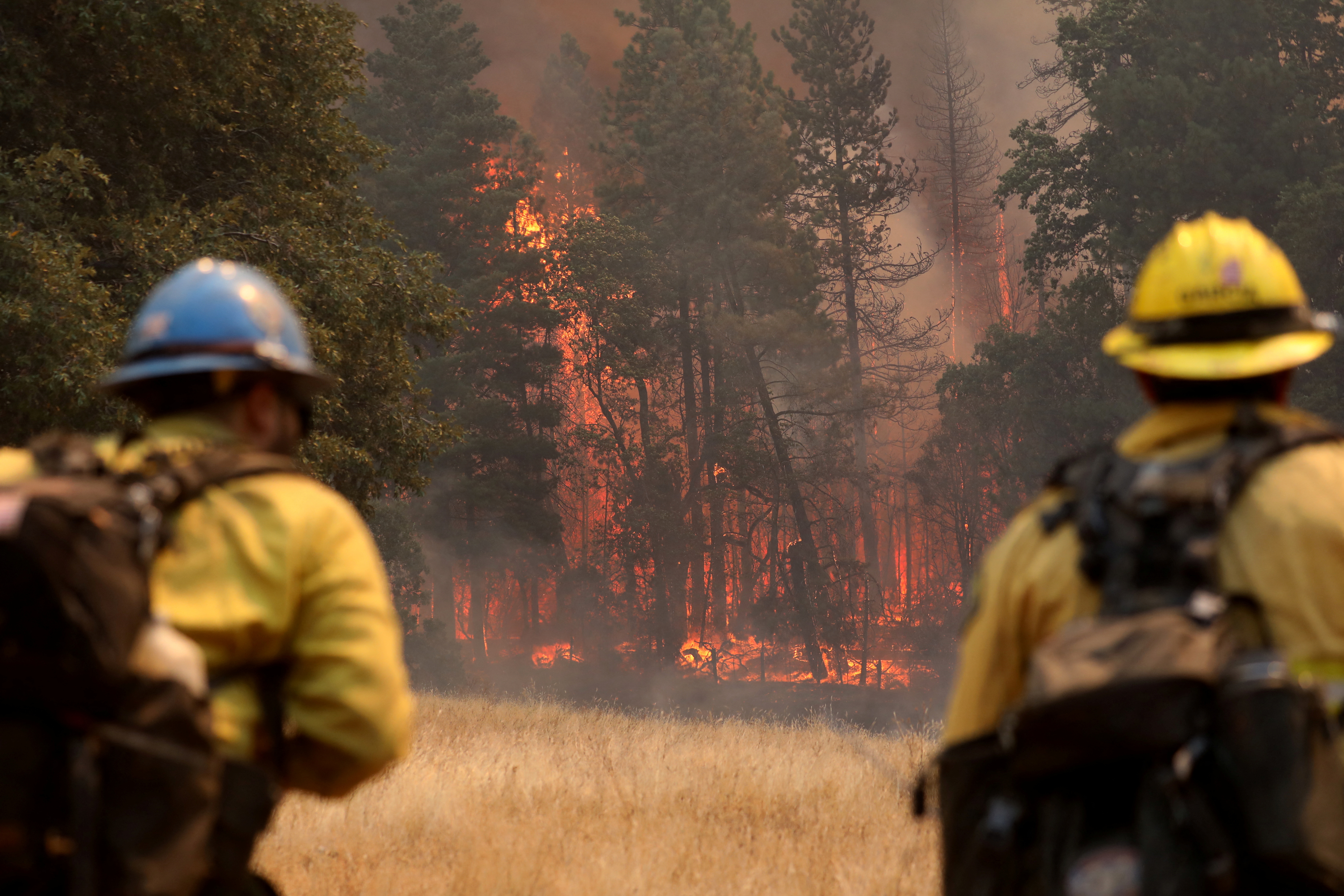 Bomberos luchan contra las llamas.  REUTERS/David Swanson