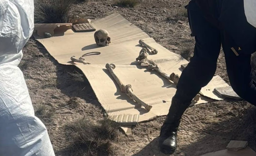 Un hombre sac&oacute; a pasear a su perro y encontr&oacute; 125 restos &oacute;seos en Chubut: qu&eacute; confirm&oacute; la investigaci&oacute;n