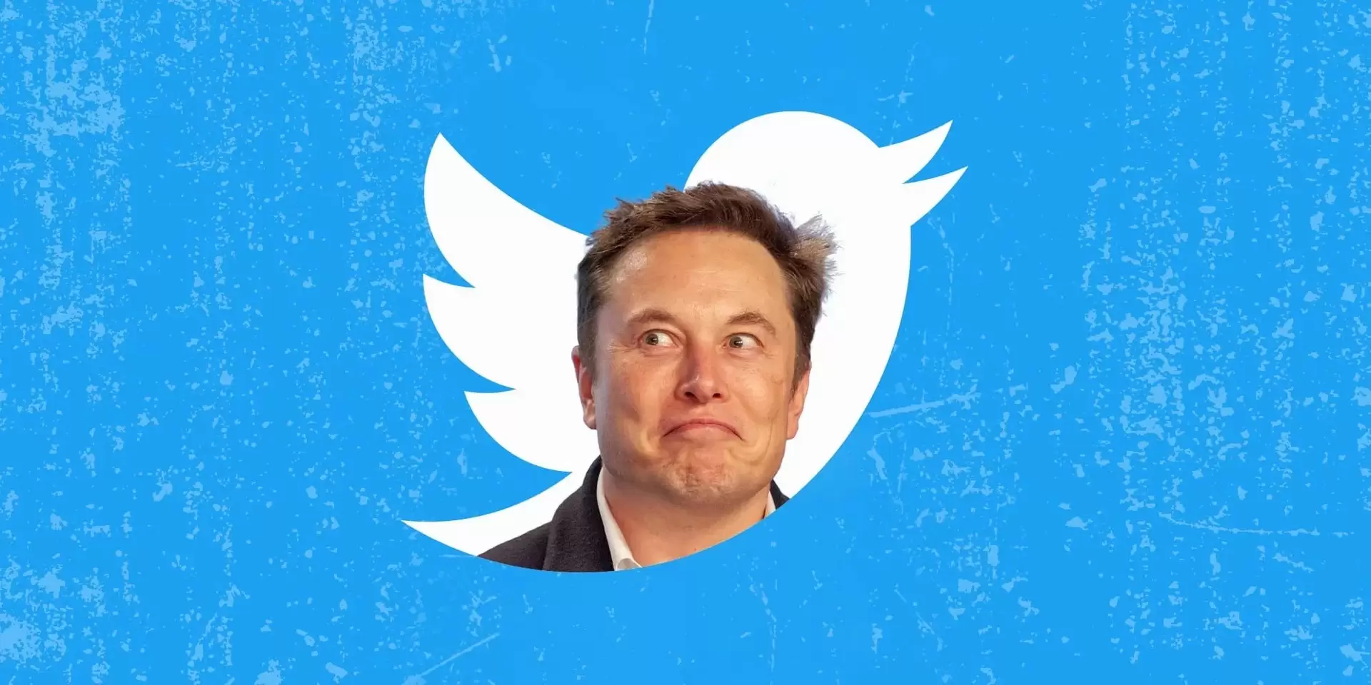 Elon Musk y Twitter. (foto: Estilo Práctico)