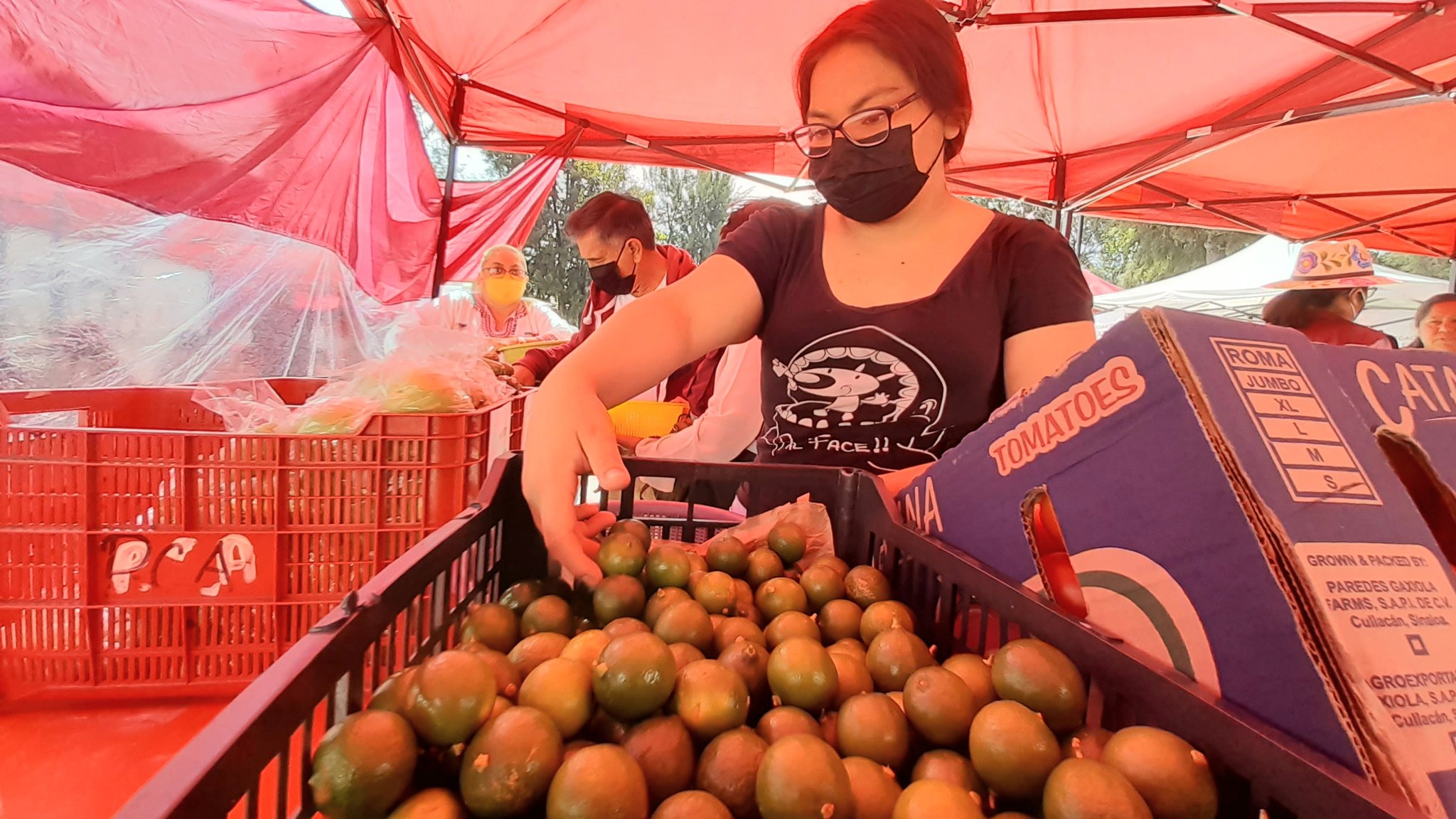 En las últimas 24 horas la dependencia ha registrado 802 contagios y 57 muertes por COVID-19 en México (Foto: Gobierno CDMX)