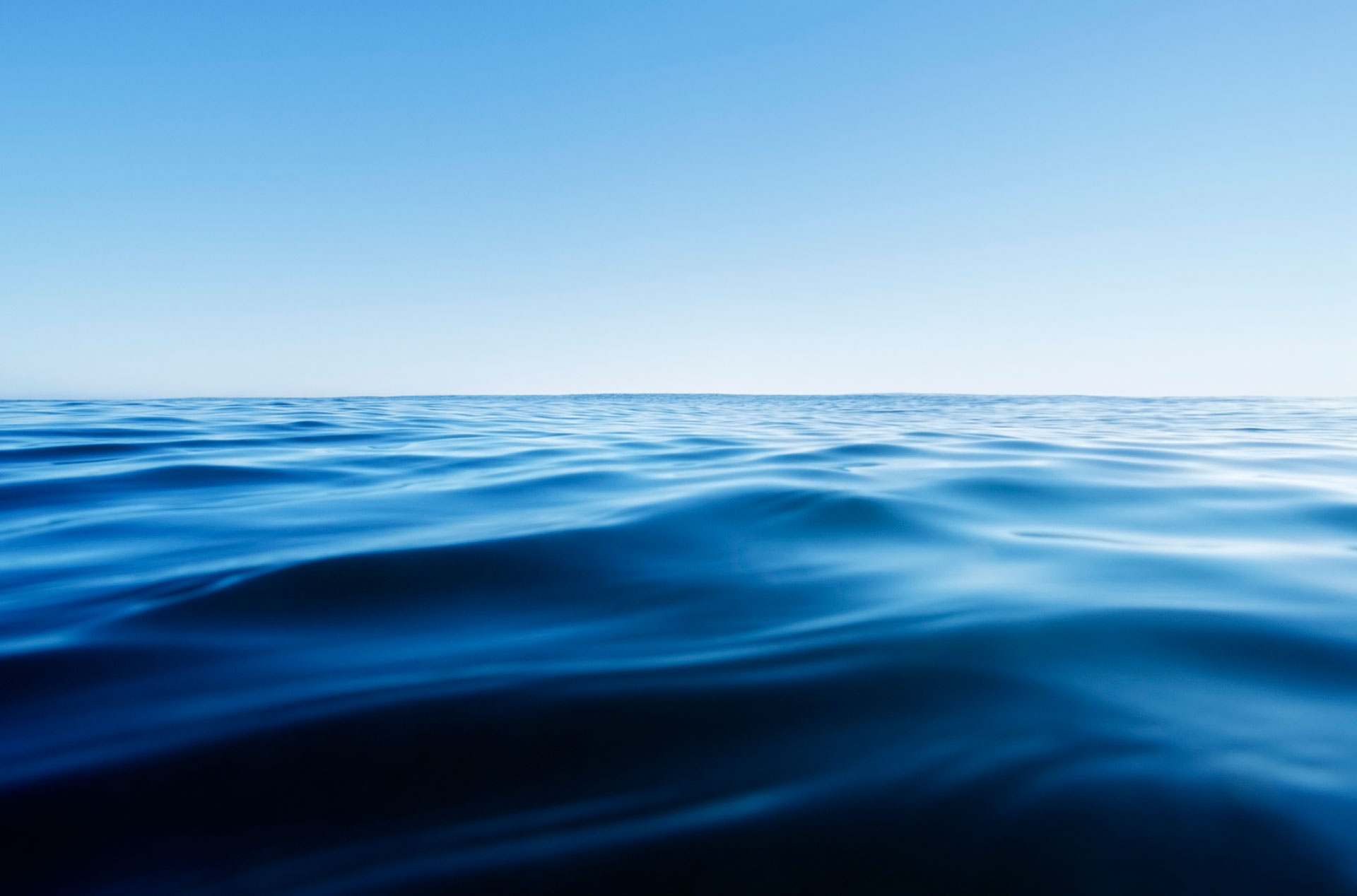 El impacto de la temperatura récord en los mares: alerta por la biodiversidad y las comunidades costeras