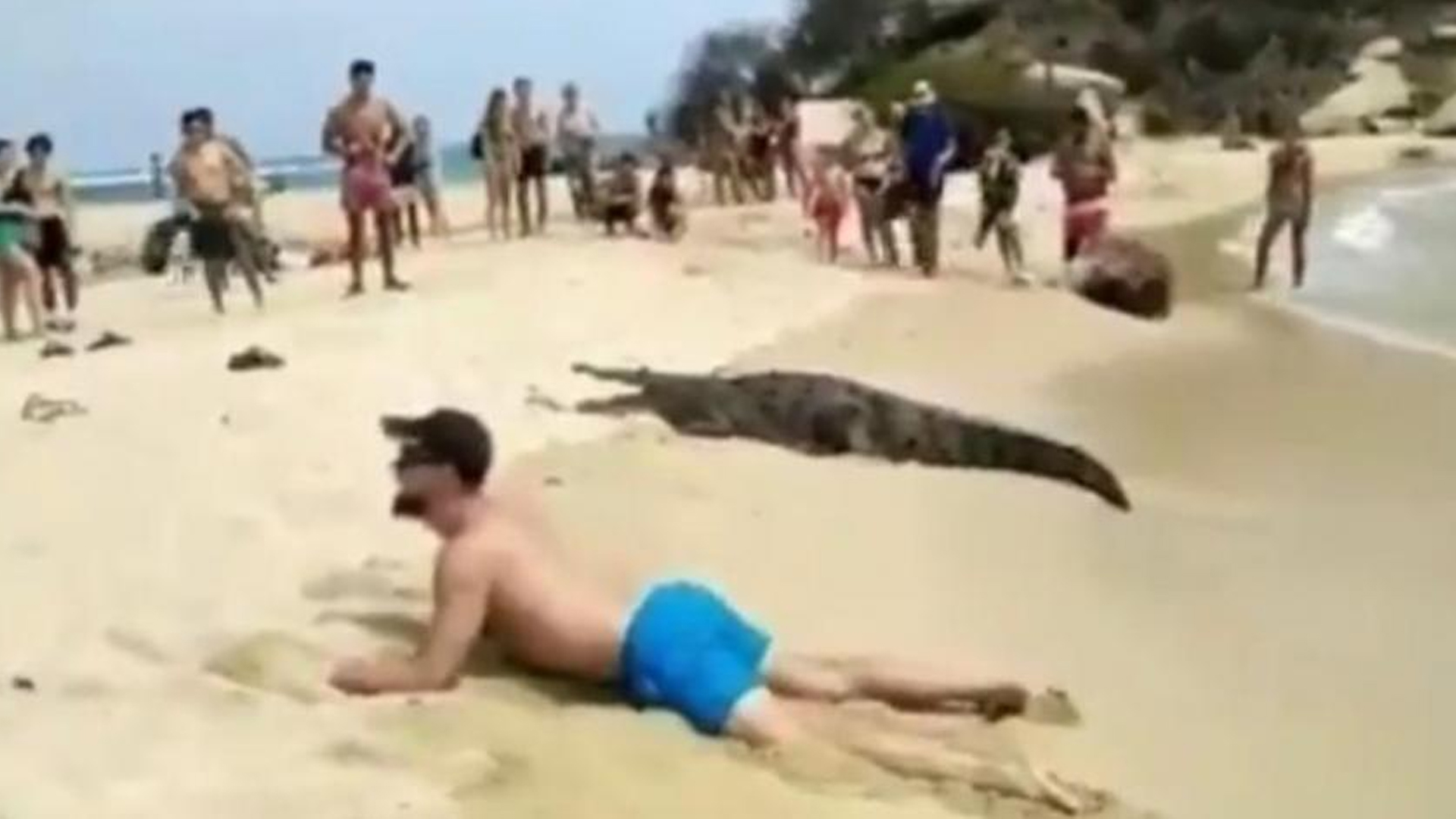 Video | Turista puso en riesgo su vida para tomarse foto con un caimán