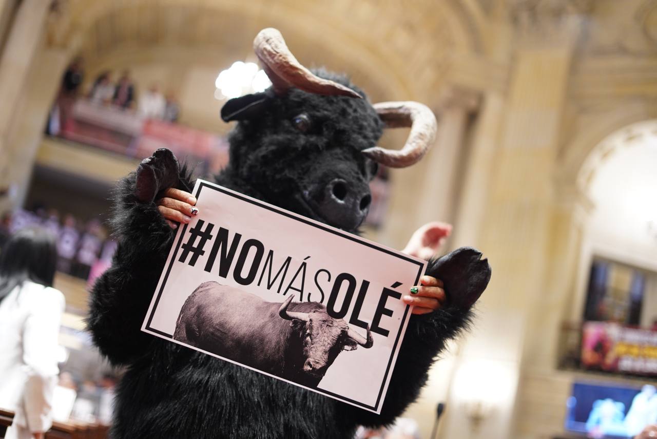 Proyecto de ley contra corridas de toros en Cámara fue archivado por tres votos