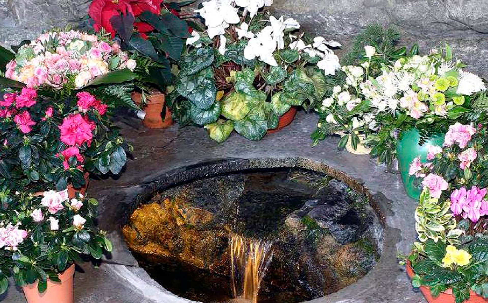 Manantial tal como se expone en la actualidad en la gruta de las apariciones de la Virgen de Lourdes