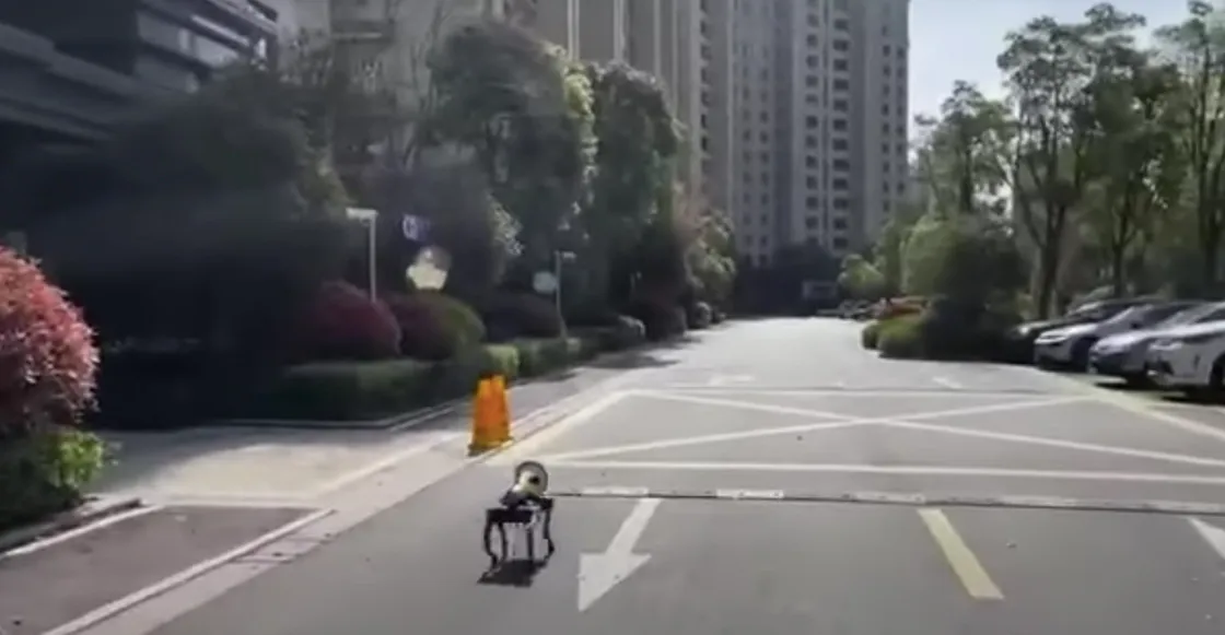 Robot en Shanghai. (foto: iSenaCode)