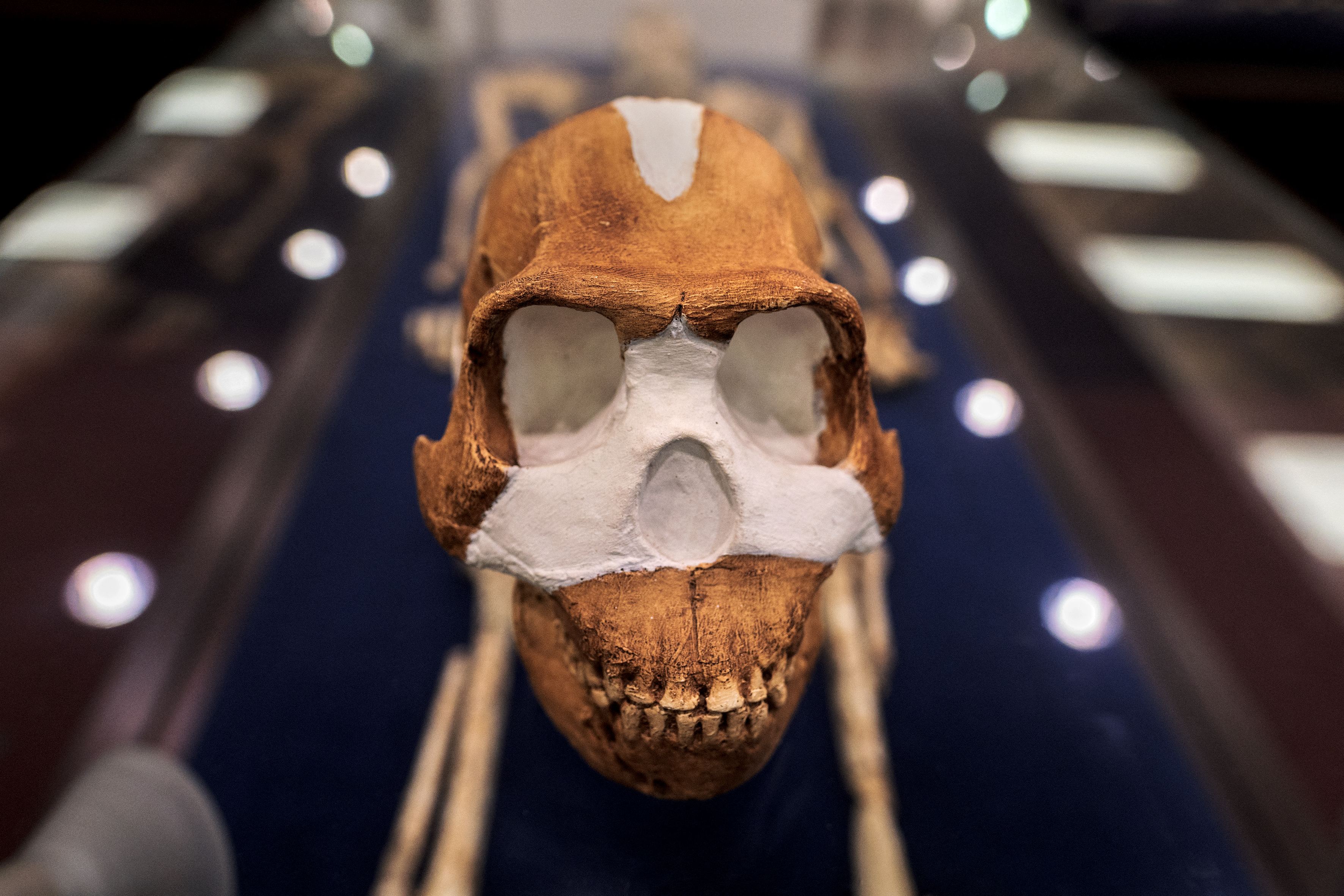 El hallazgo de las tumbas más antiguas de la prehistoria sacude los cimientos de la evolución humana