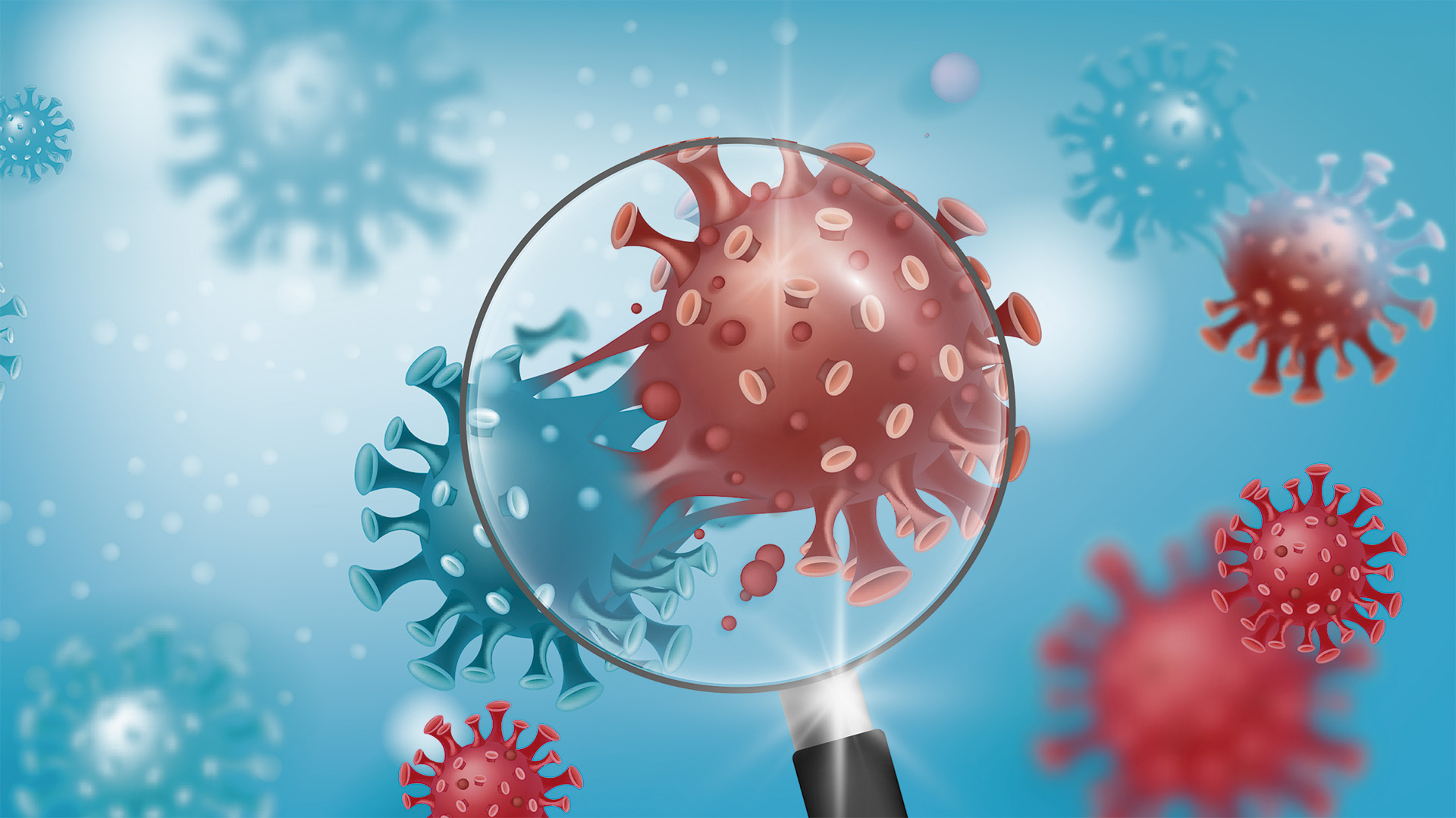 La mutación E484K introduce un cambio que disminuye la unión del virus con los anticuerpos neutralizantes (Foto: Shutterstock.com)