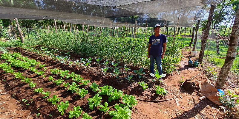 El Proyecto Mi Huerta, implementado durante la pandemia, incluye el reparto de insumos como semillas y plantines, fertilizantes foliares, fungicidas, tejidos de alambre, bandejas de plástico, regaderas y mallas mediasombra. (Imagen: gentileza Ministerio de Desarrollo Social de Paraguay)