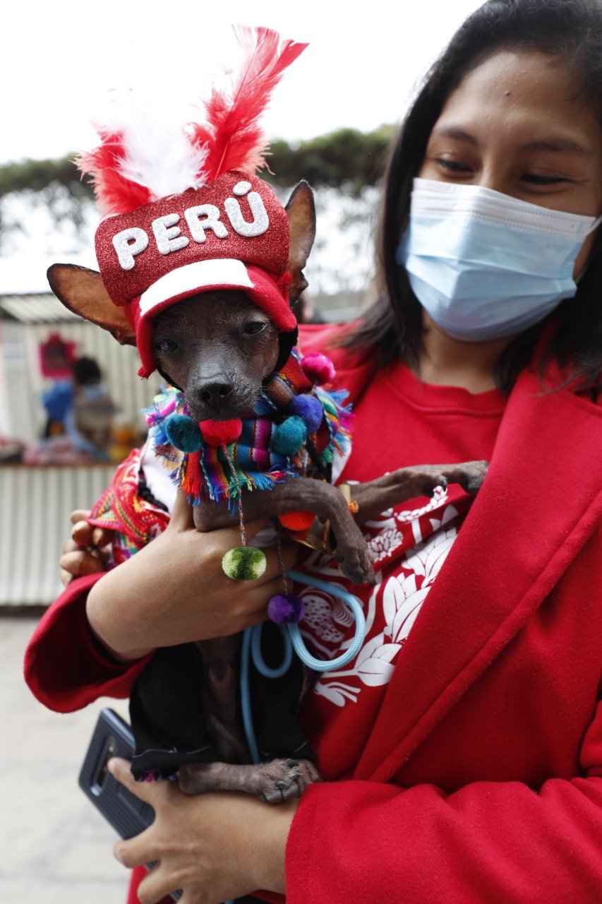 Perro peruano también vive la previa del Perú vs Australia