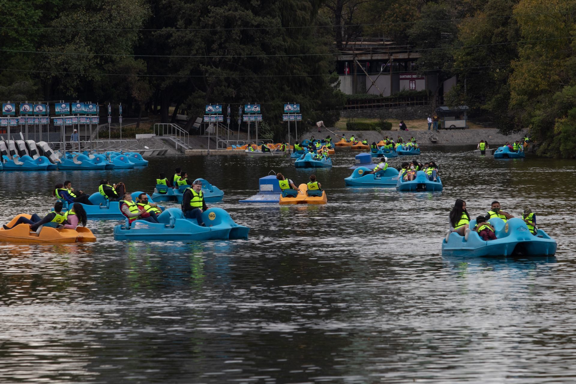 Bosque de Chapultepec. Ciudad de México, 6 de diciembre de 2020.