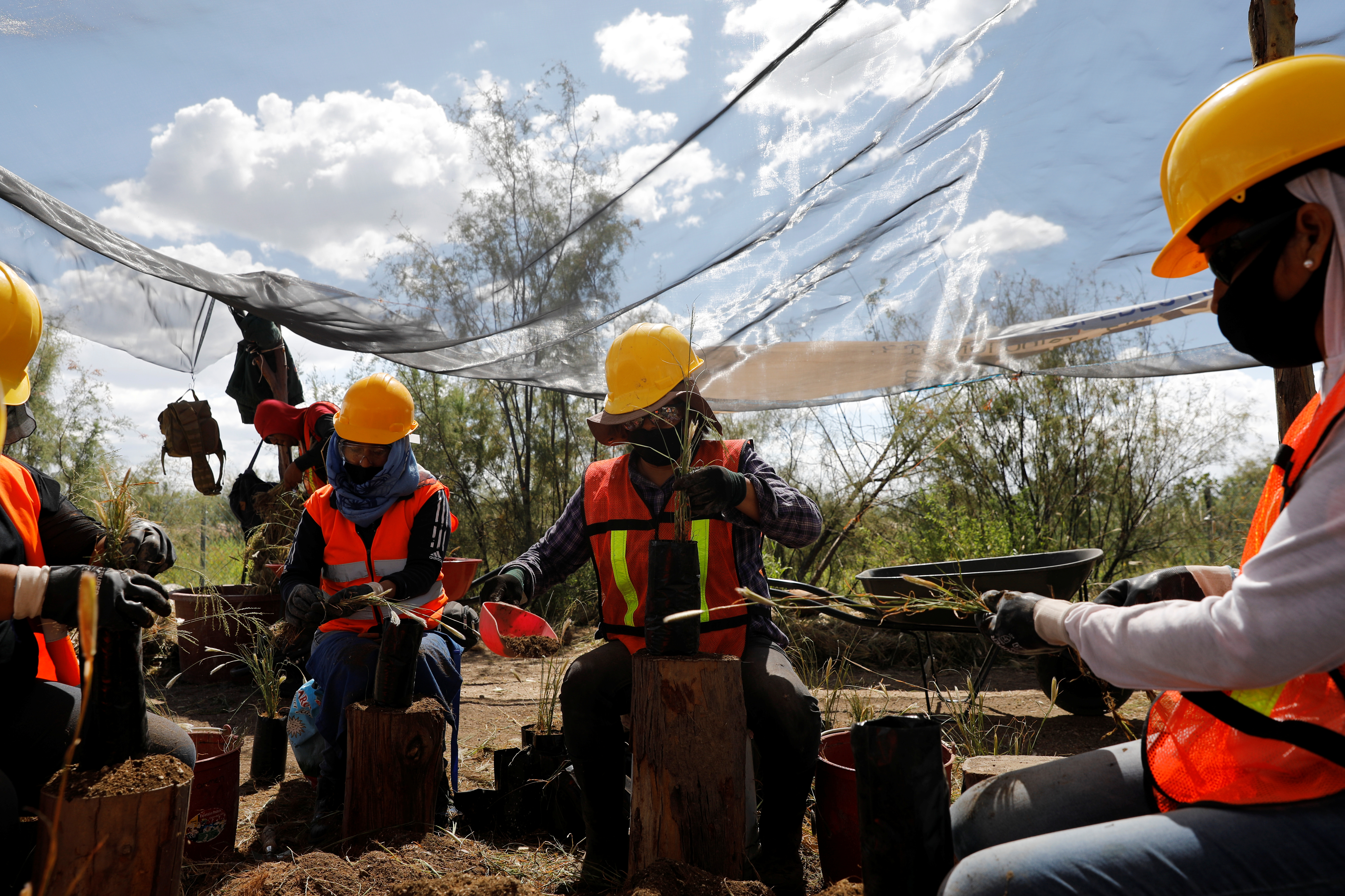 Trabajadores preparan plantas nativas en el centro de jardinería cerca de la zona cancelada del aeropuerto como parte de un proyecto para conservar 12,200 hectáreas de tierra en Texcoco en las afueras de la Ciudad de México, México, 3 de septiembre de 2020. Fotografía tomada el 3 de septiembre de 2020.