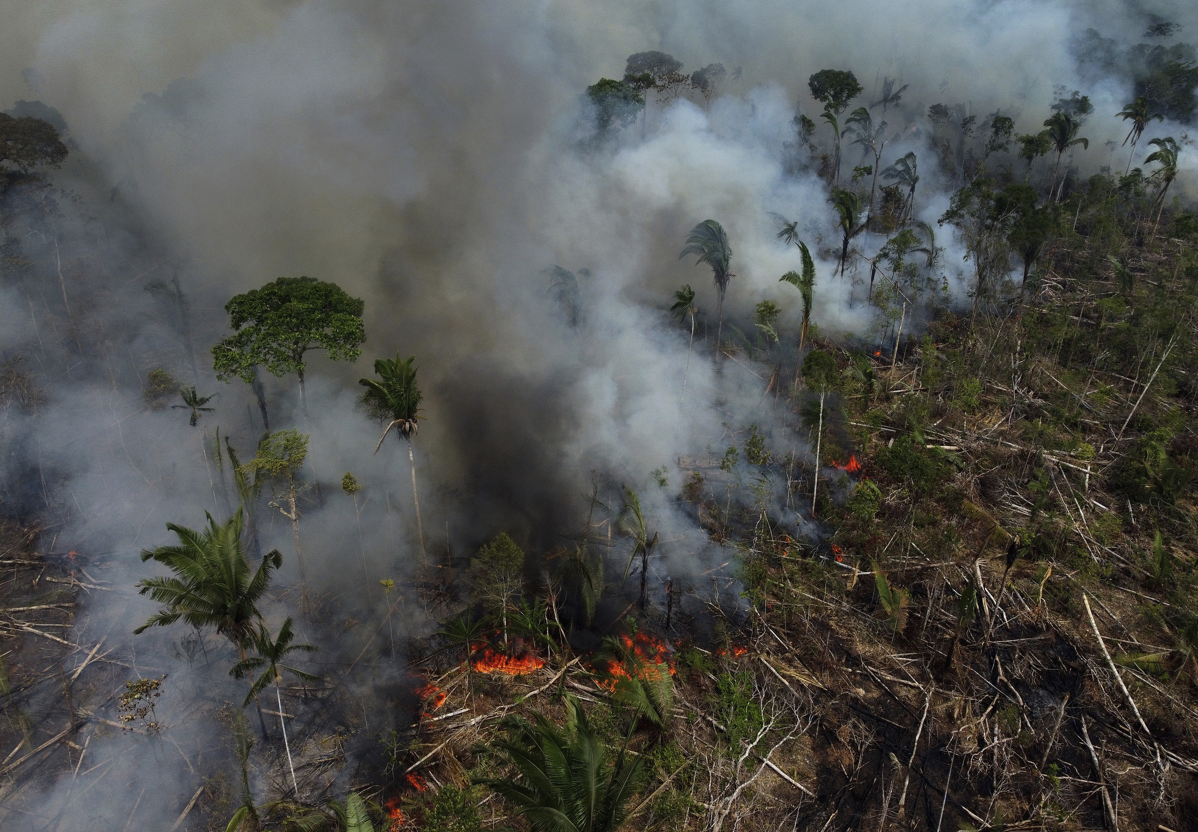 Beni en desastre por incendios forestales: “La situación es crítica”, advierten desde el COED