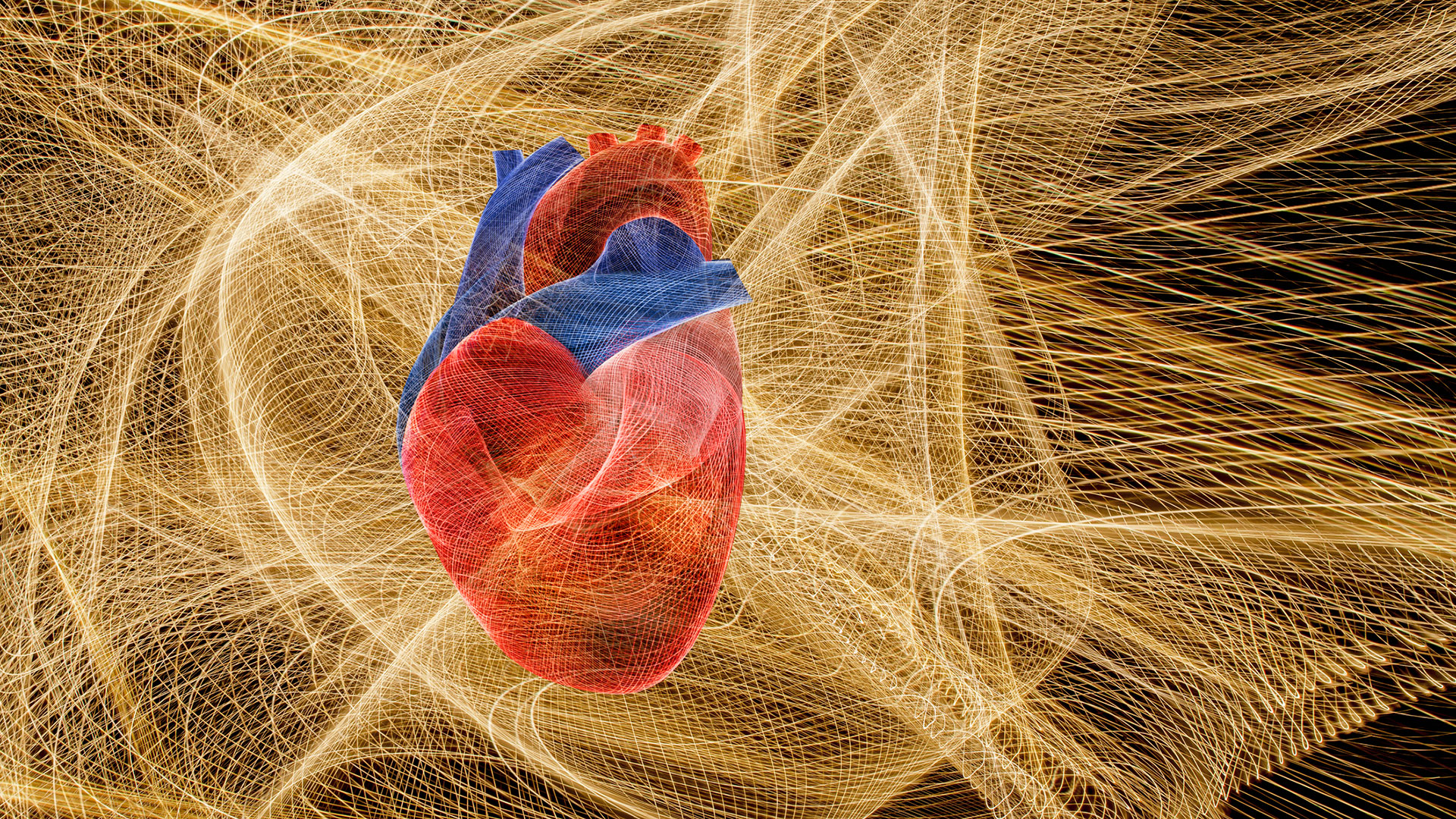 Los médicos pueden recomendar el uso de un dispositivo registrador de eventos implantable si los pacientes tienen latidos del corazón anormales, un ataque cerebrovascular sin causa aparente o un desmayo sin causa aparente (Gettyimages)