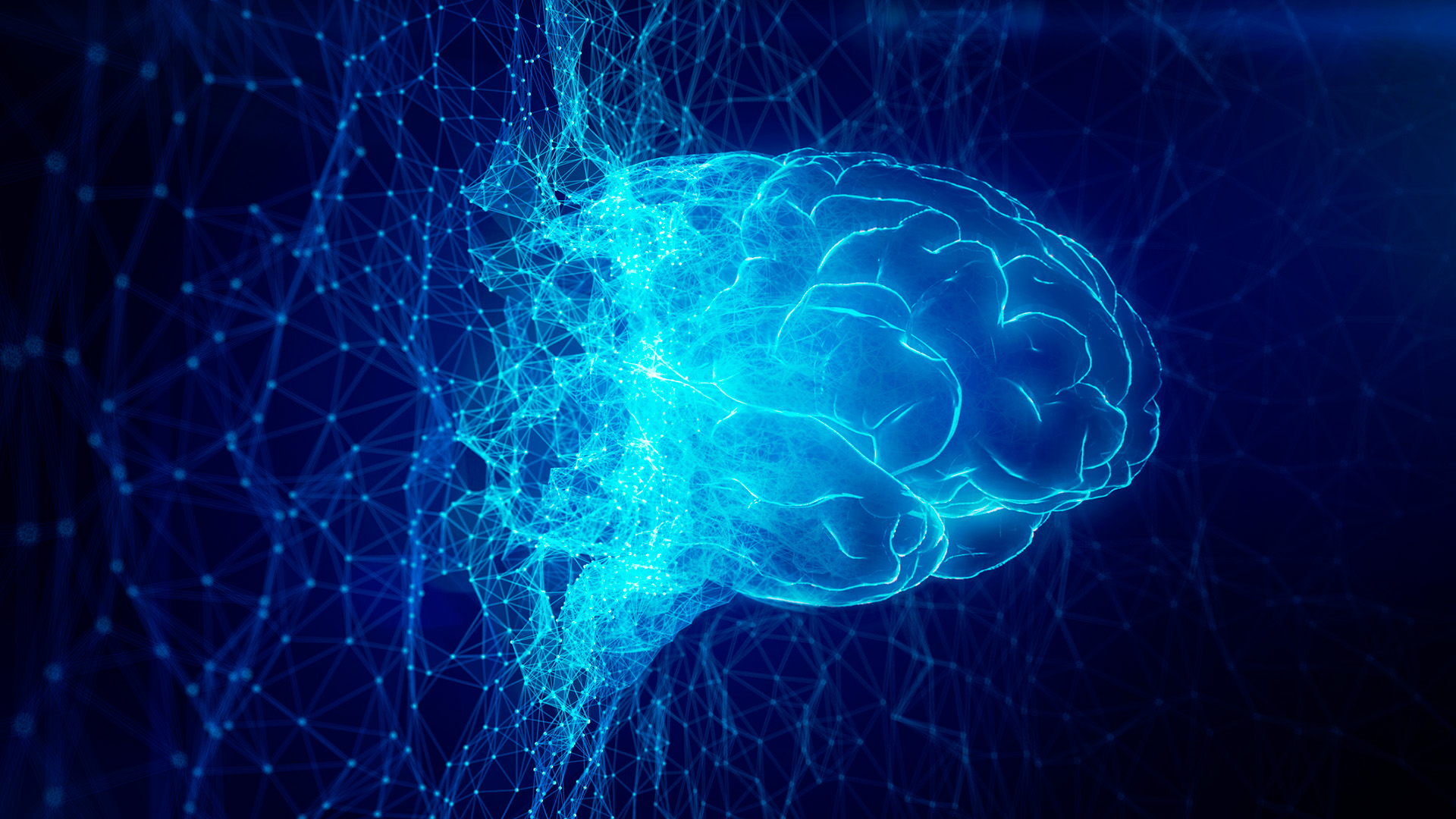 Neurocientíficos del MIT identificaron cuáles son las células especialmente vulnerables al Alzheimer