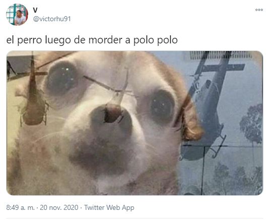 Los memes que le hicieron a la foto de Miguel Polo Polo que se volvió viral  - Infobae