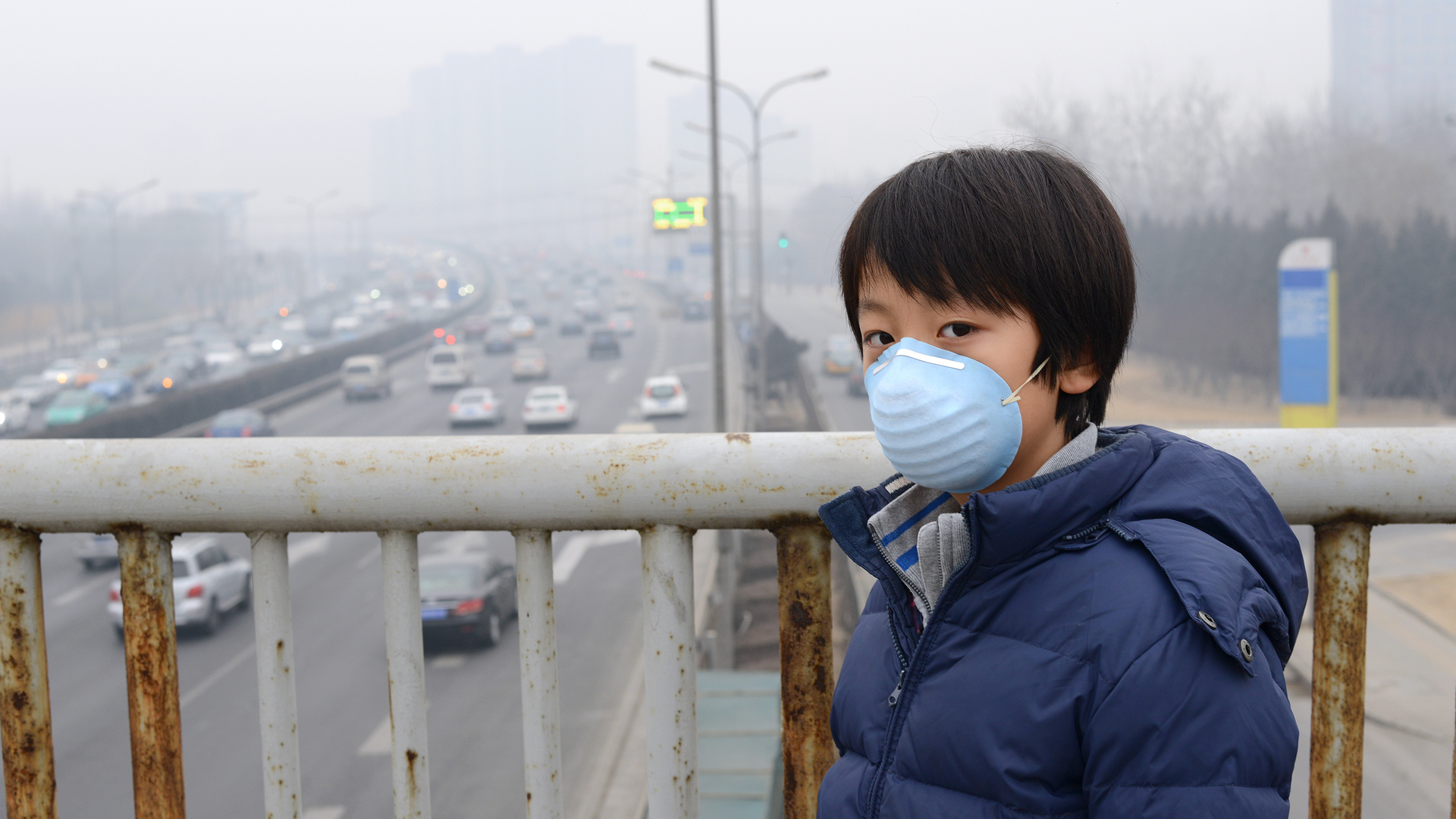 “Casi toda la población mundial (99%) respira aire que excede los límites de calidad del aire de la OMS y amenaza su salud”, advirtió el organismo internacional
(iStock)