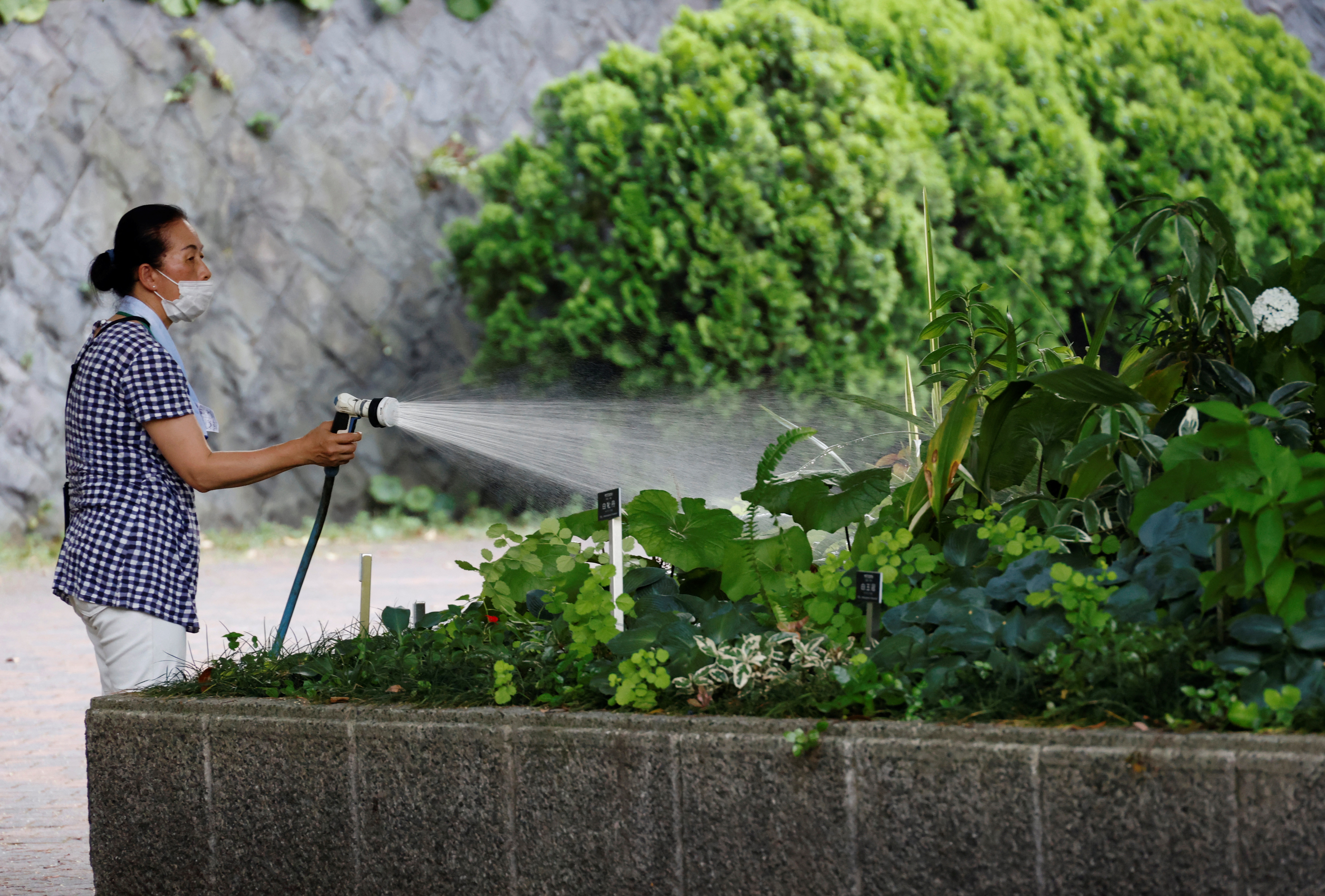 Una mujer rocía agua en un parterre de flores en un parque en medio de una histórica ola de calor en Tokio, Japón, 30 de junio de 2022. REUTERS/Kim Kyung-Hoon