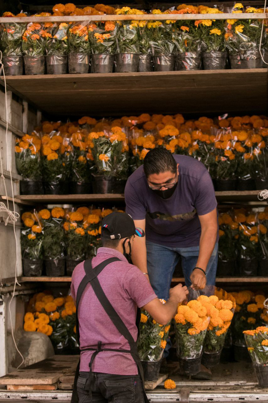 Venta de flor de cempasúchil en el Mercado de Jamaica. Donde se pueden conseguir desde los 15 hasta los 25 pesos dependiendo del tamaño.