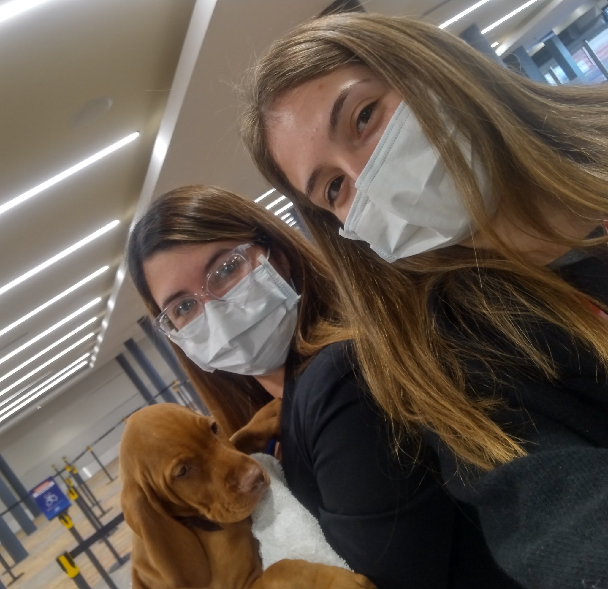 Las fotos de una usuaria de Twitter que se encontró con Susana Giménez y su perra Thelma en un aeropuerto (Fotos: Twitter)