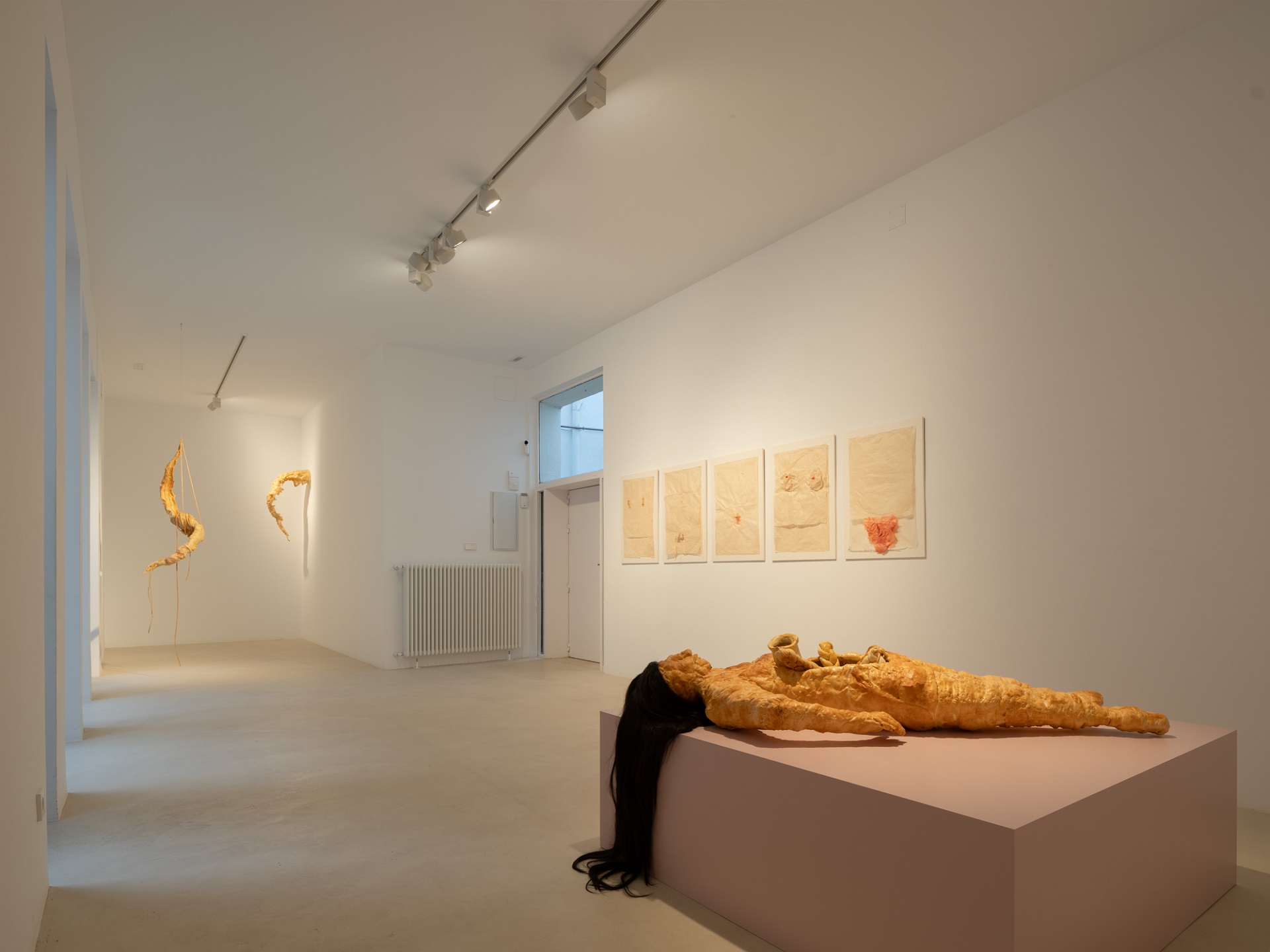 ANSES: cuándo cobro en febrero 2026 si mi DNI termina en 5