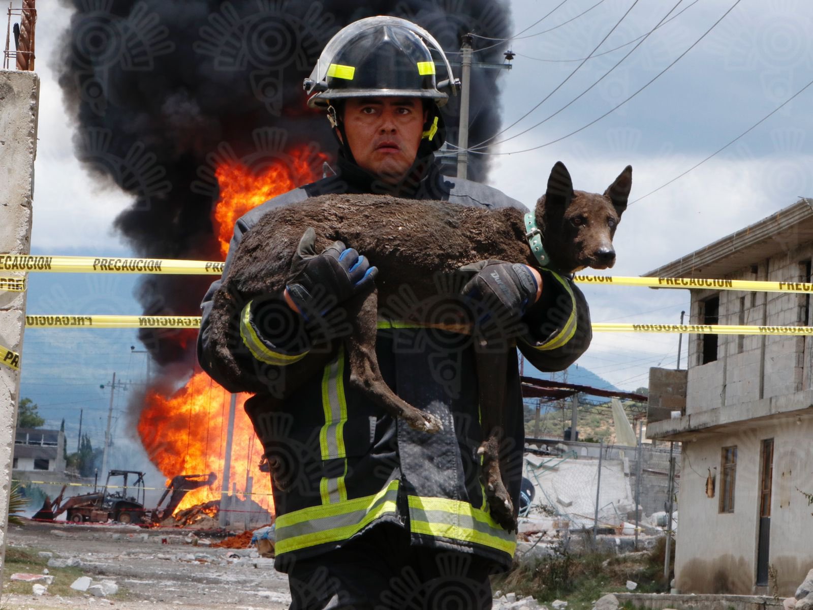 "Agentes del Heroico Cuerpo de Bomberos rescataron a un perro que quedó atrapado tras la explosión en Amozoc" (Fuente: Twitter/@SSPGobPue)
